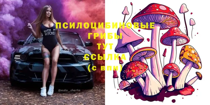 Галлюциногенные грибы Magic Shrooms Рыбинск